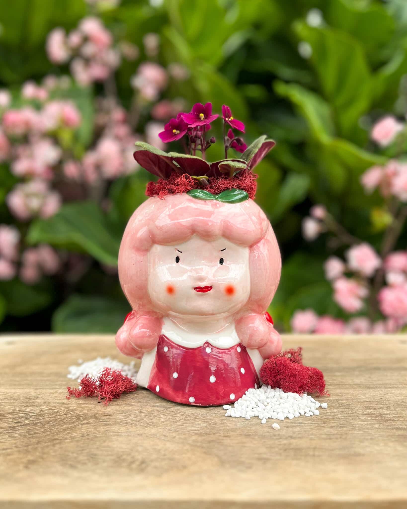 A whimsical ceramic girl-head planter with pink curls and a polka-dot dress, planted with a magenta African violet, photographed front-on among pink blooms in the greenhouse.