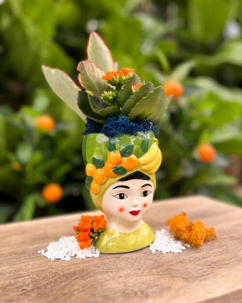 Bella Fruitella