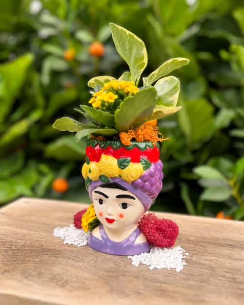 Flora Fiesta