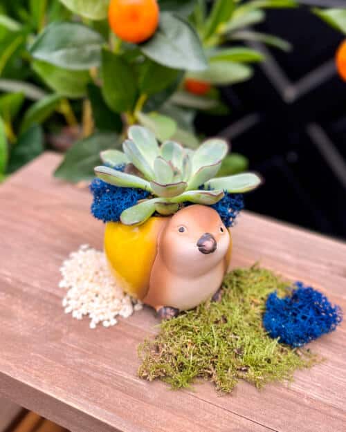 Pear-adise Bird