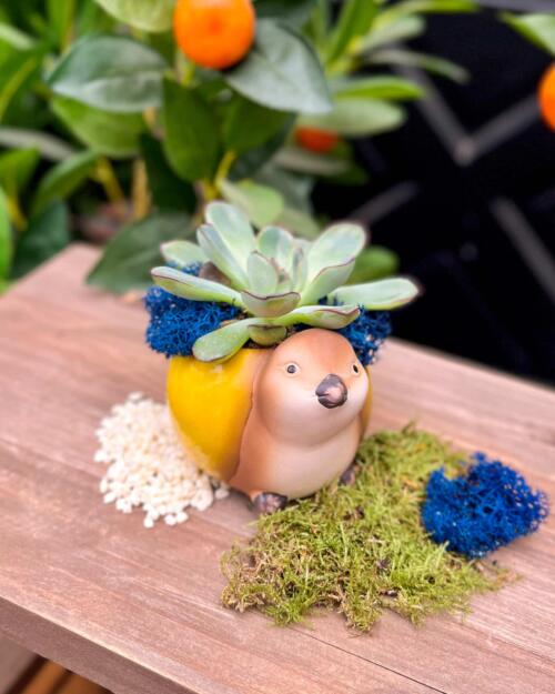 Pear-adise Bird