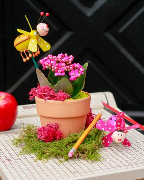 Blooming with Gratitude