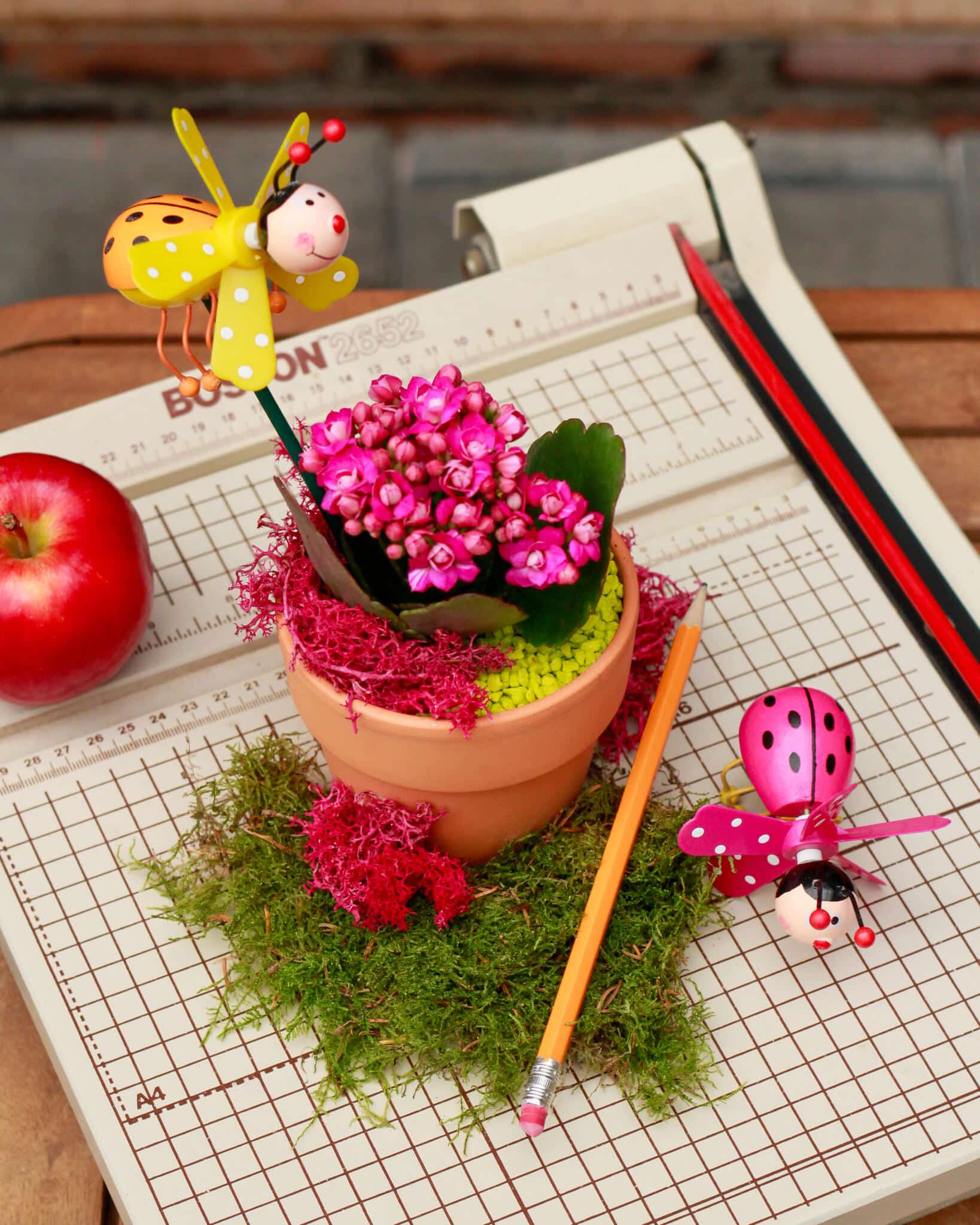 A small terracotta pot of bright pink kalanchoe blooms topped with cheerful wooden bee and butterfly picks, nestled in moss.