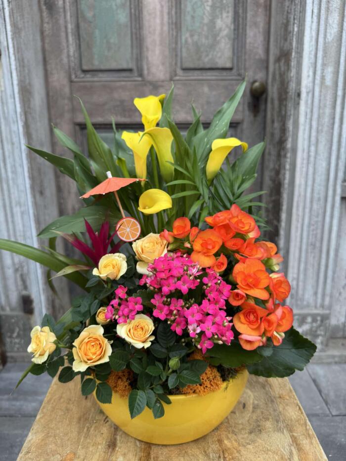 A bright planted arrangement in a yellow ceramic bowl with yellow calla lilies, orange begonias, pink kalanchoe and peach roses, topped with a tiny cocktail umbrella.