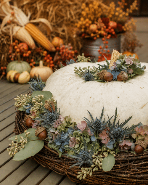 A large white pumpkin displayed in a grapevine wreath, adorned with a garland of dried botanicals including blue thistles, faded hydrangea, acorns, and eucalyptus, set against a backdrop of hay and autumn harvest accents.