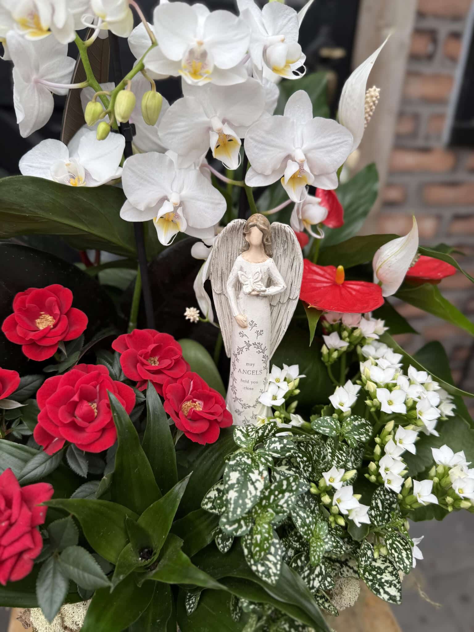 The Cherished Memories sympathy planter, featuring a standing angel figurine reading 'May Angels hold you close,' surrounded by white orchids, red anthuriums, red and white kalanchoe and lush foliage.