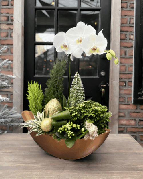 Winter Luxe Orchid Planter