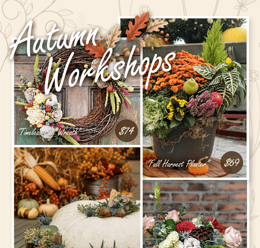 A promotional collage titled 'Autumn Workshops' featuring a fall wreath, a harvest planter and a floral arrangement with prices.