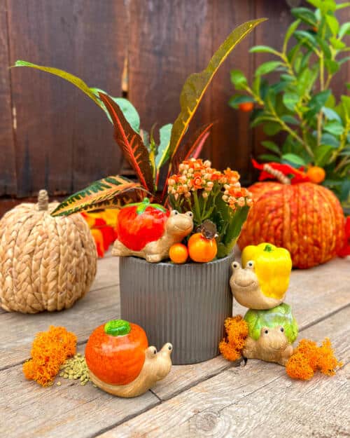 Cozy Little Harvest