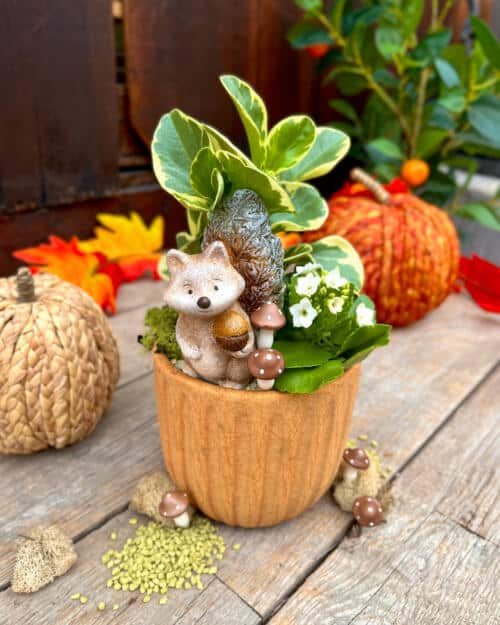 Squirrelly About Autumn