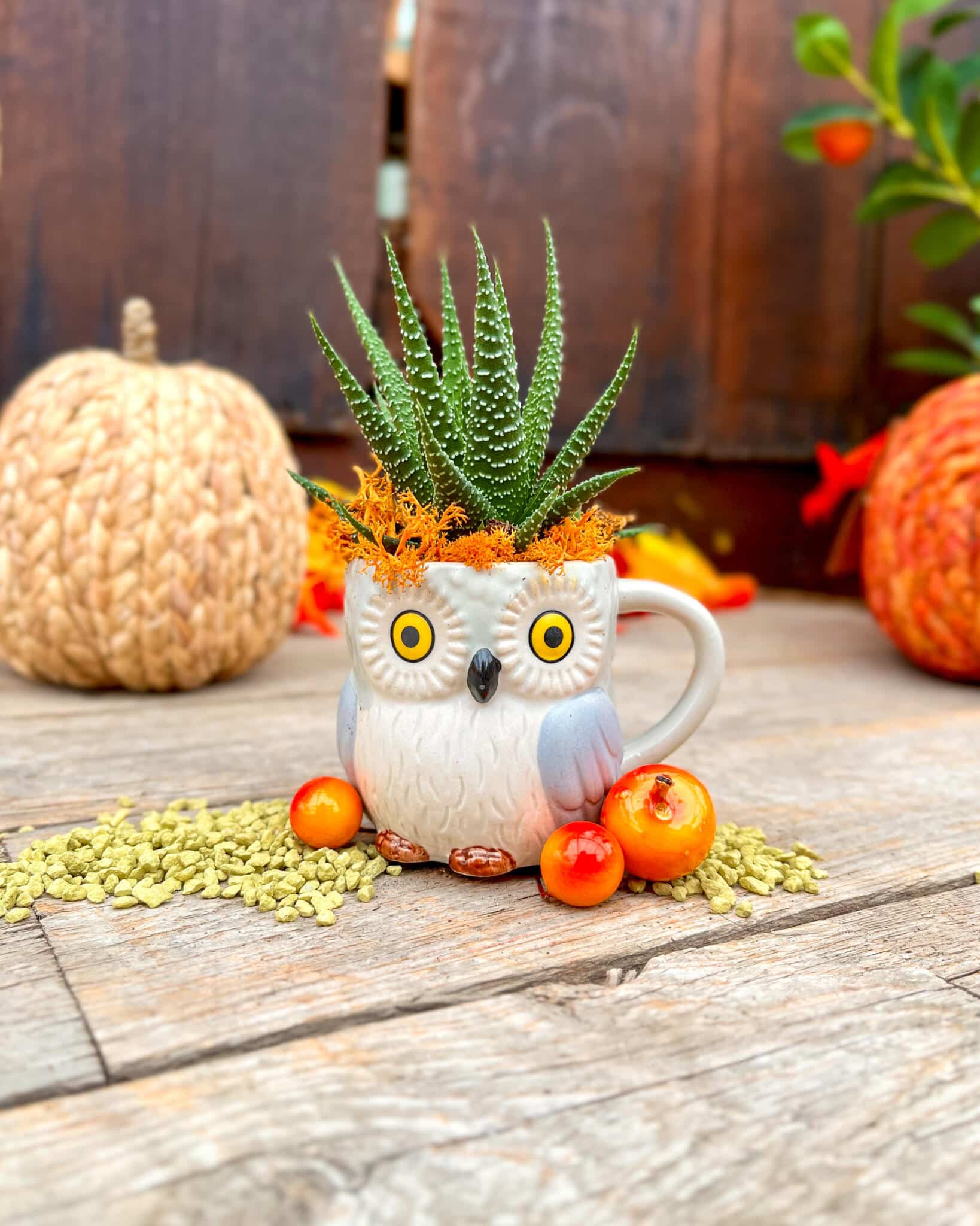 Little Critter Cups - Image 5