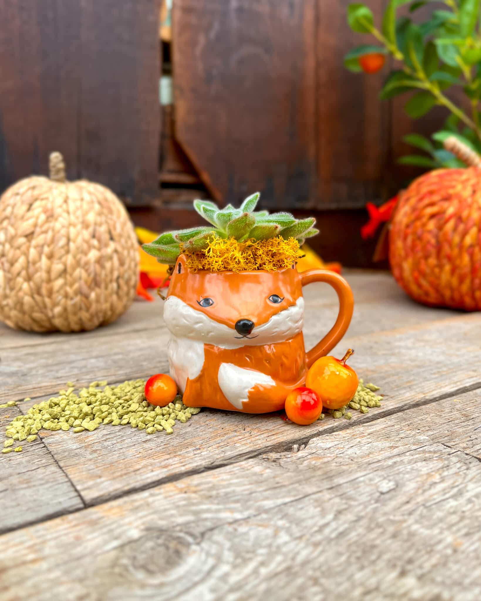 Little Critter Cups - Image 4