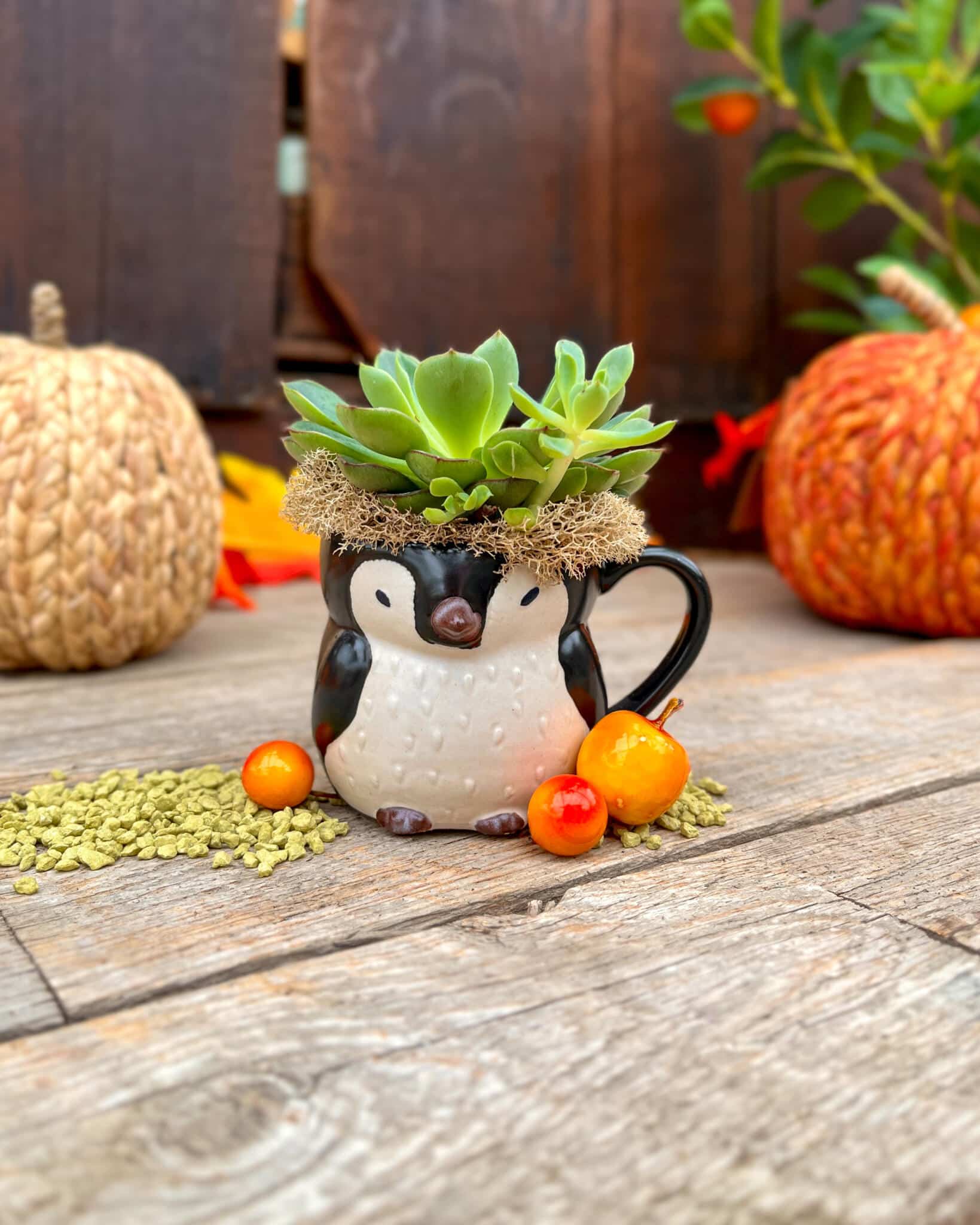 Little Critter Cups - Image 3