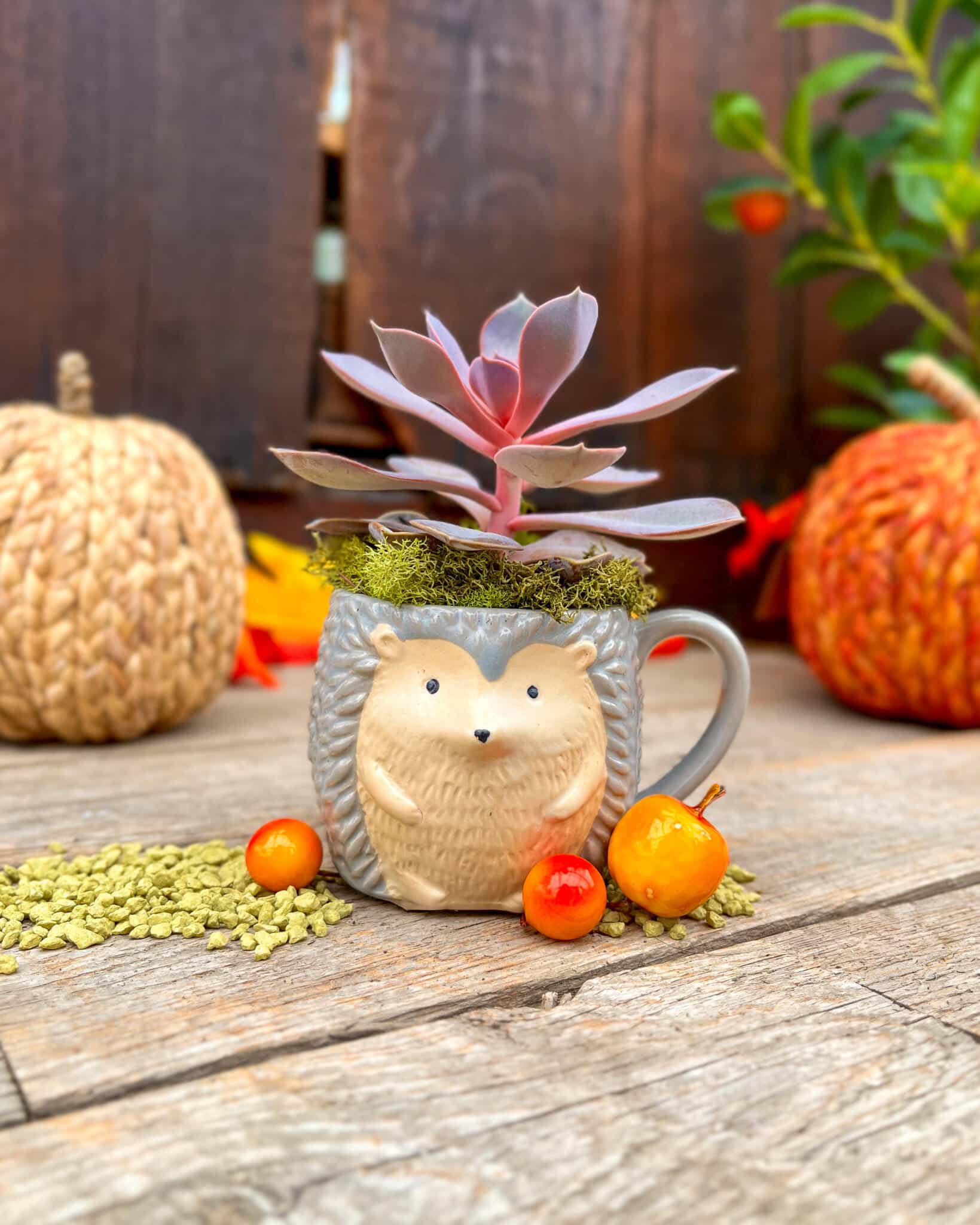 Little Critter Cups - Image 2