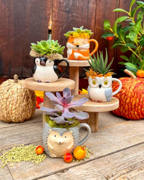 Little Critter Cups