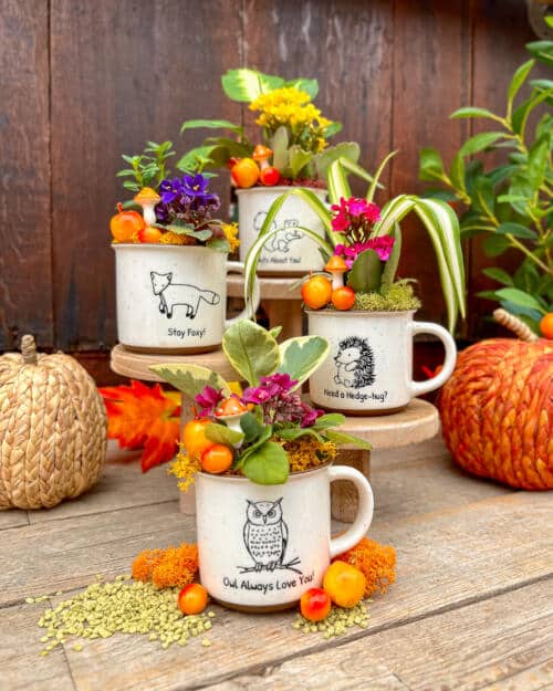 Forest Friends Mugs