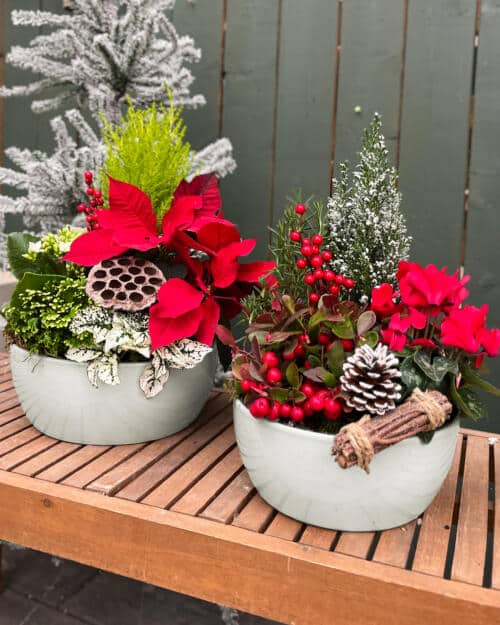 Merry & Bright Planter Workshop