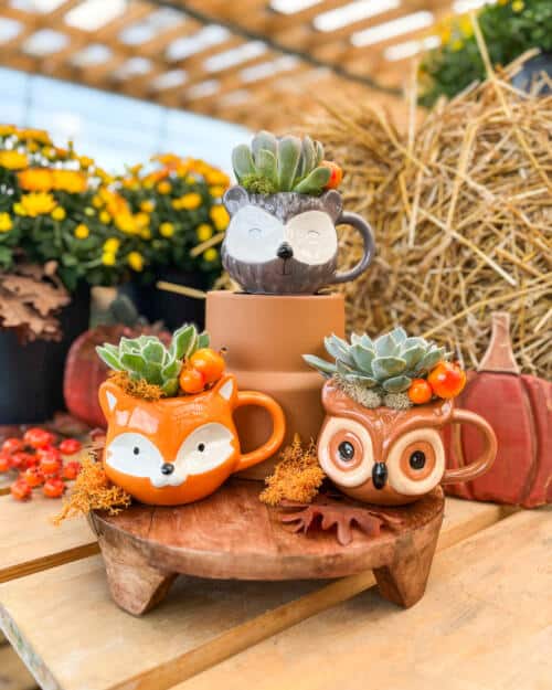 Autumn Critter Mugs