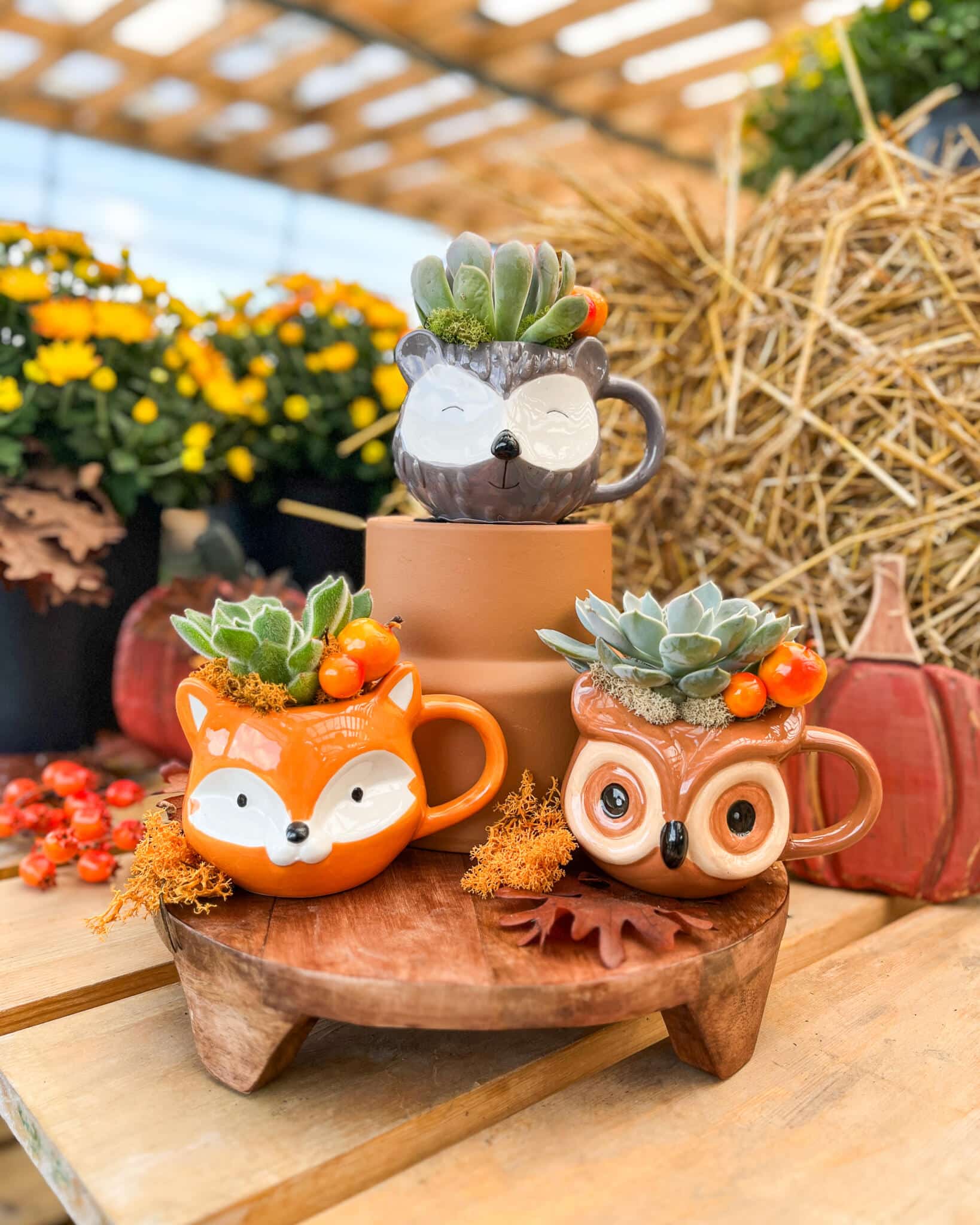 Autumn Critter Mugs