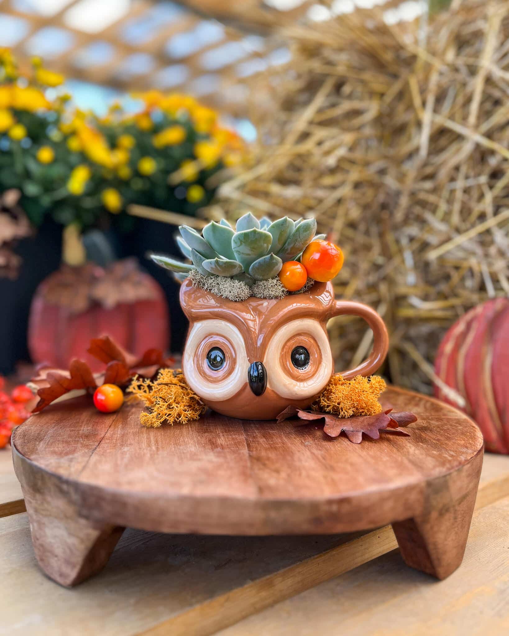 Autumn Critter Mugs - Image 2