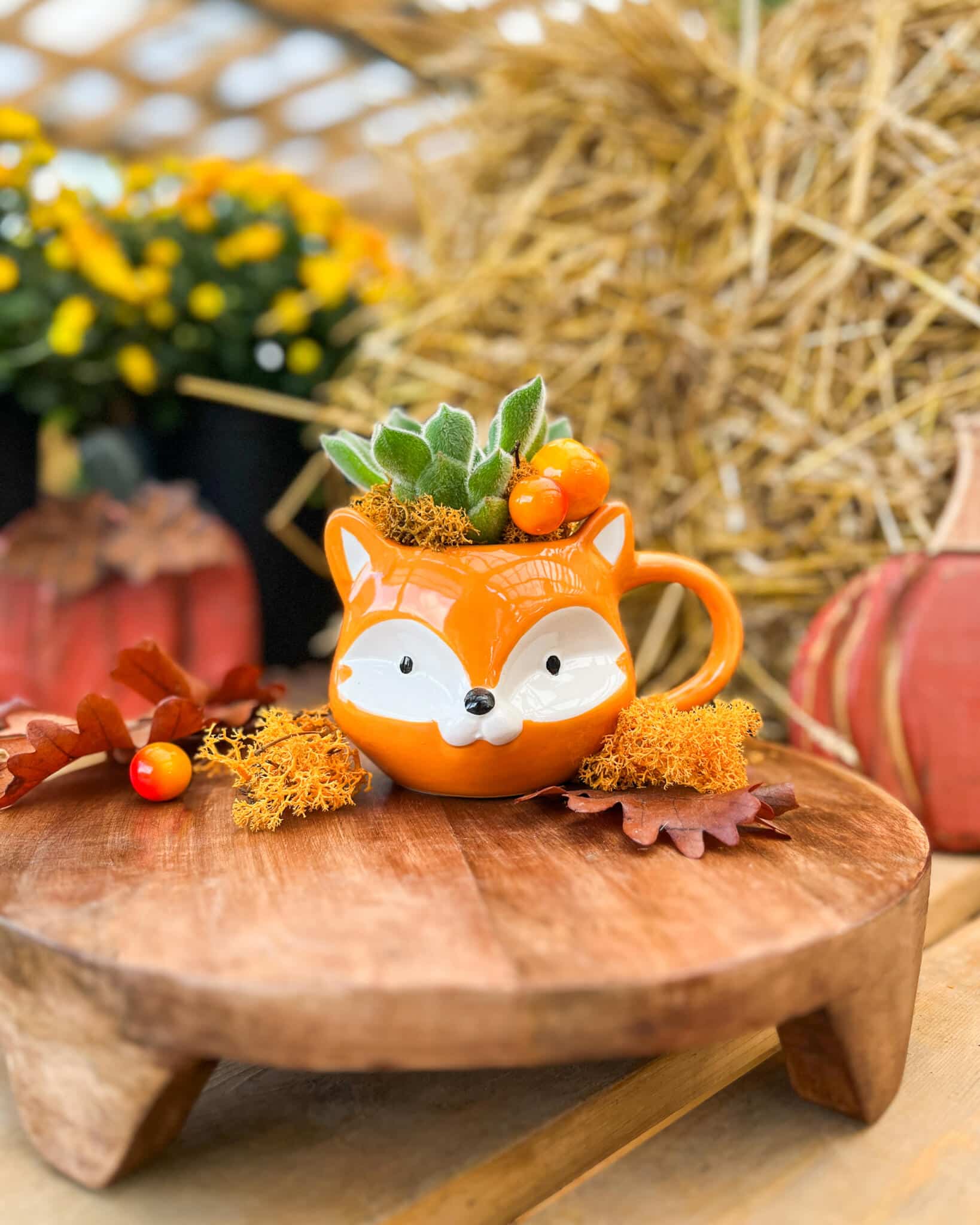 Autumn Critter Mugs - Image 3