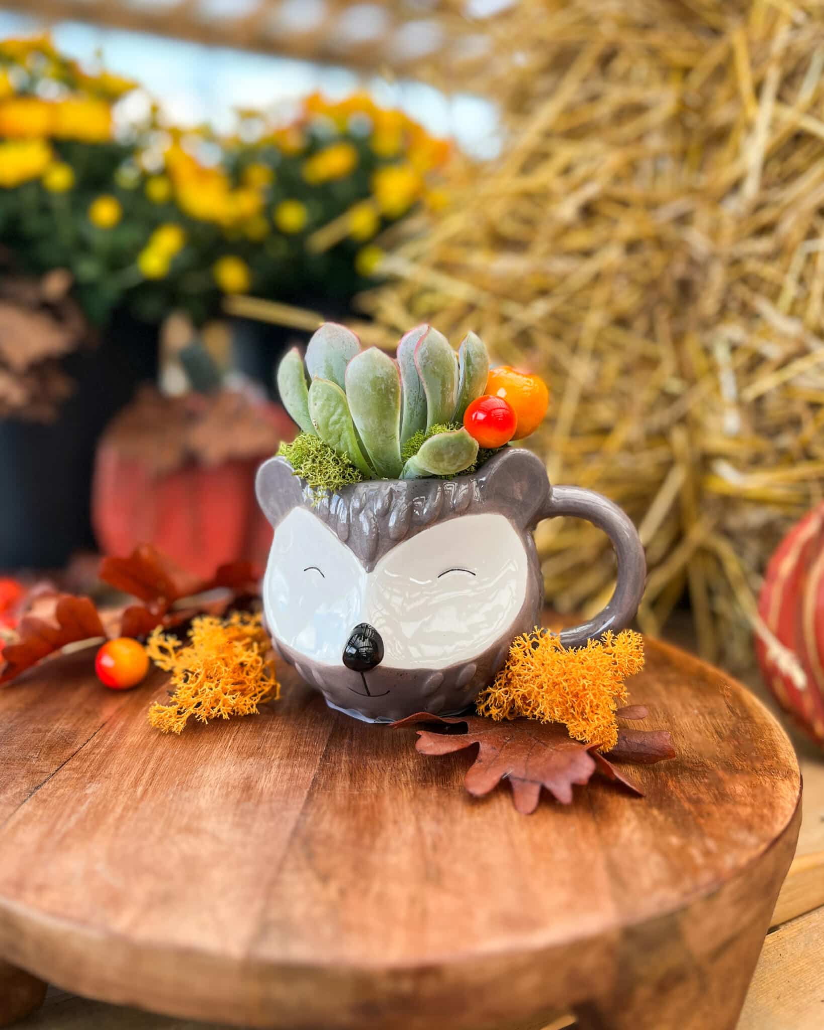 Autumn Critter Mugs - Image 4